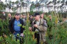 Zakłady Usług Leśnych z certyfikatami z zakresu pielęgnacji lasu
