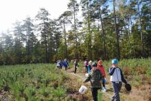 Edukacja ekologiczna w lesie - przyjemne z pożytecznym