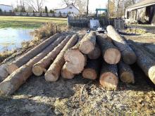 Interregionalny złodziej drewna złapany w Nadleśnictwie Skrwilno